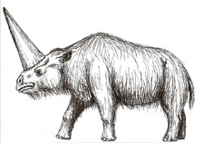 elasmoterium