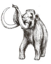 mamut