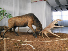 Megaceros s hyenami - Giganti.cz