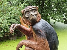 Miss Waldron - ZOO Ostrava