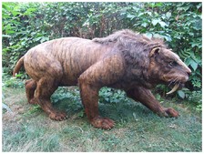 Šavlozubý tygr - Doba ledová